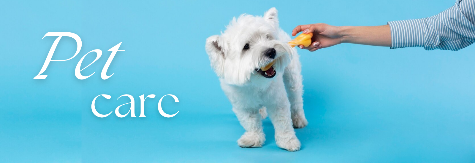 Pet Care
